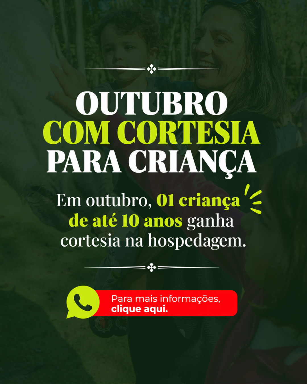 Banner Arraia 2025