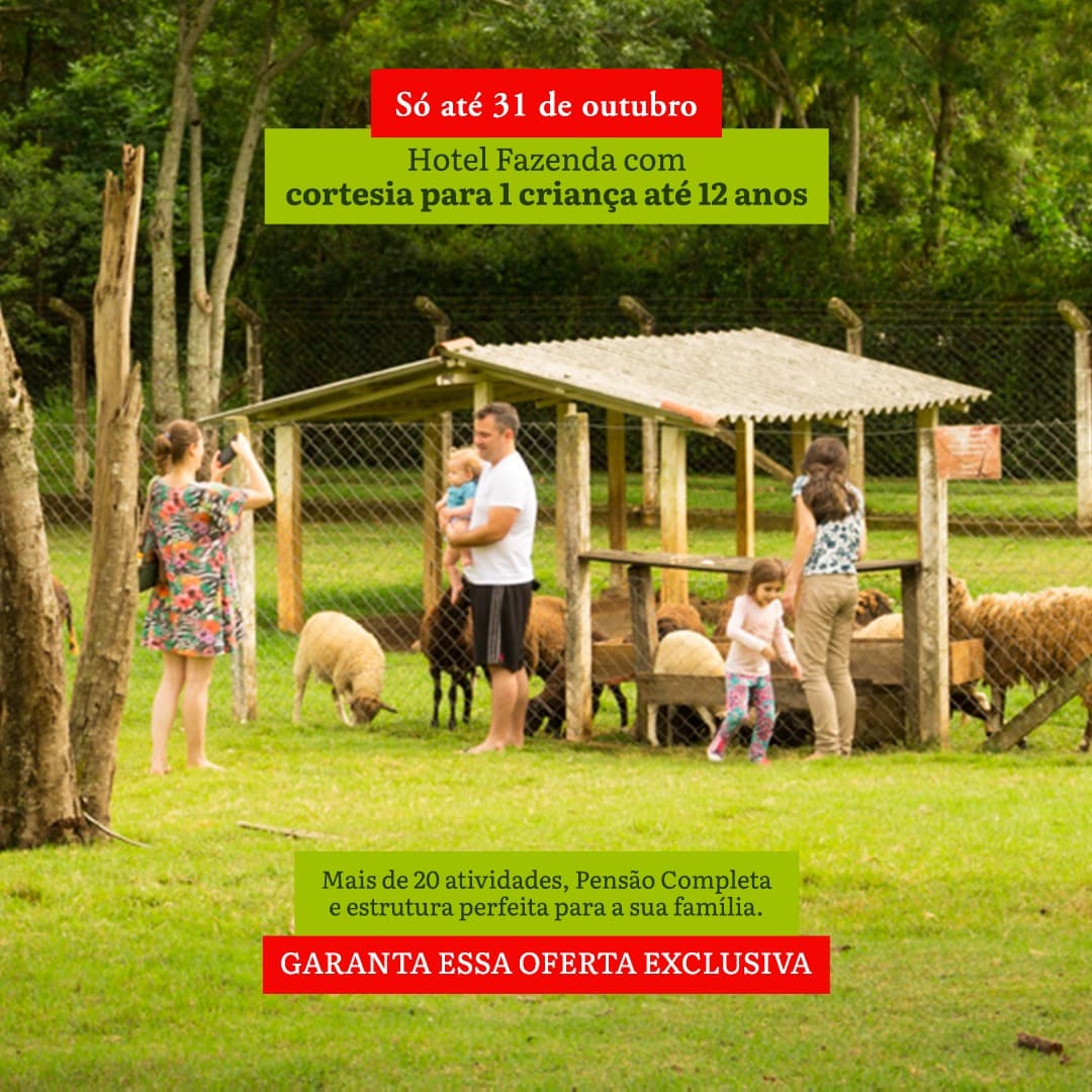Banner Arraia 2025